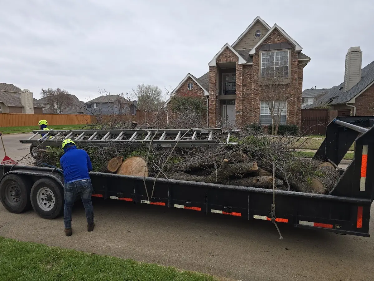 Expert Lot Clearing with proper safety equipment in Oark